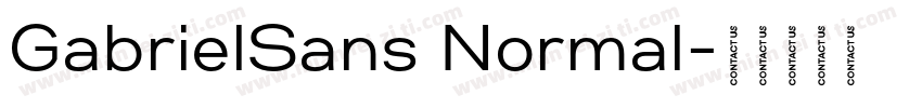 GabrielSans Normal字体转换